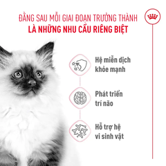 Thức Ăn Hạt Cho Mèo Con Royal Canin Kitten