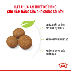 Thức Ăn Hạt Cho Chó Maxi Puppy