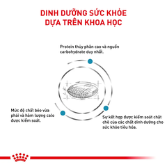 Thức Ăn Hạt Cho Chó Dị Ứng Royal Canin Hypoallergenic