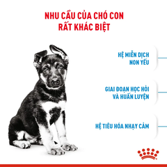 Thức Ăn Hạt Cho Chó Maxi Puppy