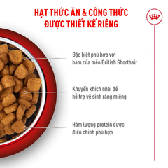Hạt Cho Mèo Anh Lông Ngắn Trưởng Thành Royal Canin British Shorthair Adult