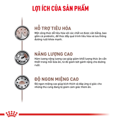 Thức Ăn Hạt Cho Mèo Hỗ Trợ Tiêu Hóa Royal Canin Gastrointestinal