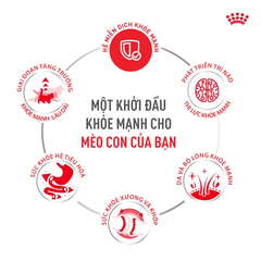 Thức Ăn Hạt Cho Mèo Con Royal Canin Kitten