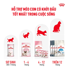 Thức Ăn Hạt Cho Mèo Con Royal Canin Kitten