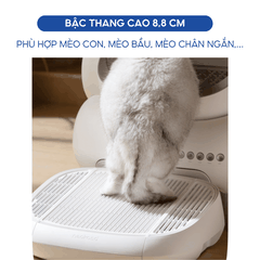 Bậc thang hứng cát văng máy vệ sinh Neakasa M1