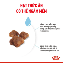 Thức Ăn Hạt Cho Mèo Mẹ & Mèo Con Royal Canin Mother & Babycat