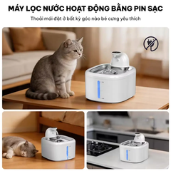 Máy lọc nước cho chó mèo HELIPET Pure 6 (P6)