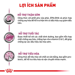 Pate Cho Mèo Suy Thận Royal Canin Renal