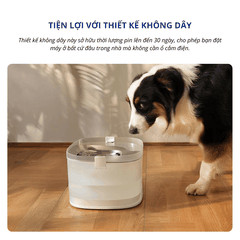 Máy lọc nước cho chó CHEERBLE D1 4L - Bơm không dây