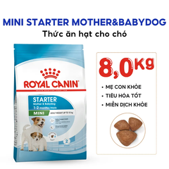 Thức Ăn Hạt Cho Chó Mini Starter Mother&Babydog
