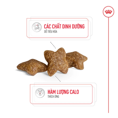 Thức Ăn Hạt Cho Chó Trưởng Thành Giống Nhỏ Royal Canin Mini Adult