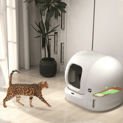 Sáp khử mùi Petkit N50 2.0
