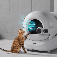 Sáp khử mùi Petkit N60