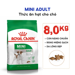 Thức Ăn Hạt Cho Chó Trưởng Thành Giống Nhỏ Royal Canin Mini Adult