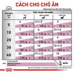 Pate Cho Chó Renal 410g