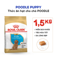 Thức Ăn Hạt Cho Chó Con Poodle Royal Canin Poodle Puppy