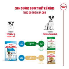 Pate Cho Chó Con Giống Nhỏ Royal Canin Mini Puppy