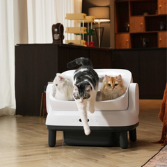 Máy dọn vệ sinh mèo HeLiPet Open Top Pro Plus