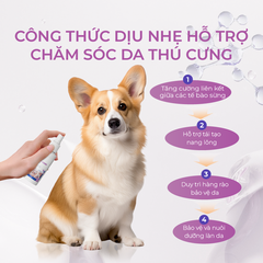 Xịt Chăm Sóc Da Cho Chó Mèo DrVET