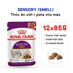 Pate Cho Mèo Kích Thích Giác Quan Royal Canin Sensory