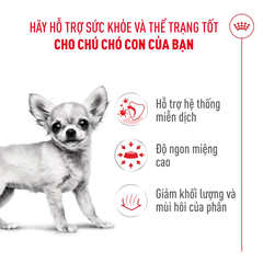 Thức Ăn Hạt Cho Chó Con Chihuahua Royal Canin Chihuahua Puppy
