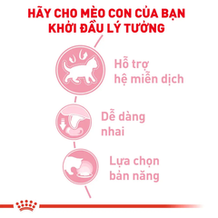 Thức Ăn Hạt Cho Mèo Con Royal Canin Kitten