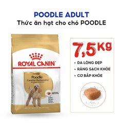 Hạt Cho Chó Poodle Trưởng Thành Royal Canin Poodle Adult