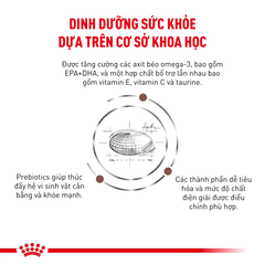 Thức Ăn Hạt Hỗ Trợ Tiêu Hóa Cho Chó Royal Canin Gastrointestinal