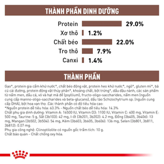 Thức Ăn Hạt Hỗ Trợ Tiêu Hóa Cho Chó Con Royal Canin Gastrointestinal Puppy