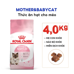 Thức Ăn Hạt Cho Mèo Mẹ & Mèo Con Royal Canin Mother & Babycat