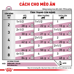 Thức Ăn Hạt Cho Mèo Suy Thận Royal Canin Renal