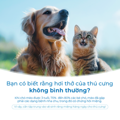 Nước Vệ Sinh Răng Miệng Cho Chó Mèo DrVET