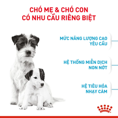 Thức Ăn Hạt Cho Chó Mini Starter Mother&Babydog