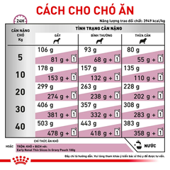 Thức Ăn Hạt Cho Chó Suy Thận Royal Canin Renal