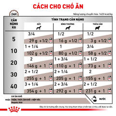 Pate Cho Chó Hepatic 410g