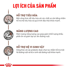 Thức Ăn Hạt Hỗ Trợ Tiêu Hóa Cho Chó Royal Canin Gastrointestinal