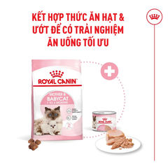 Thức Ăn Hạt Cho Mèo Mẹ & Mèo Con Royal Canin Mother & Babycat