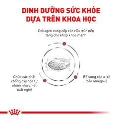 Thức Ăn Hạt Cho Chó Hỗ Trợ Xương Khớp Royal Canin Mobility C2P+