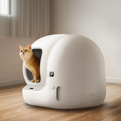 Máy dọn vệ sinh mèo Petkit Pura Max 2