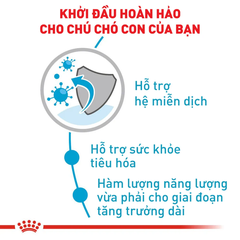 Thức Ăn Hạt Cho Chó Maxi Puppy