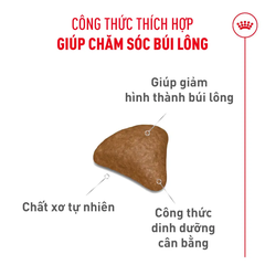 Thức Ăn Hạt Cho Mèo Tiêu Búi Lông Royal Canin Hairball