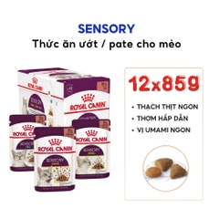 Pate Cho Mèo Kích Thích Giác Quan Royal Canin Sensory