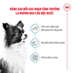 Thức Ăn Hạt Cho Chó Xsmall Puppy
