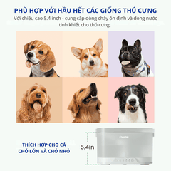 Máy lọc nước cho chó CHEERBLE D1 4L - Bơm không dây