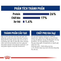 Thức Ăn Hạt Cho Chó Maxi Adult