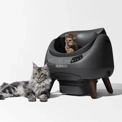 Máy vệ sinh cho mèo Catlink Scooper Open X+