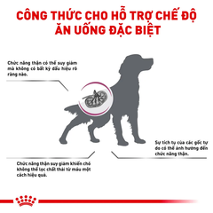 Thức Ăn Hạt Cho Chó Suy Thận Royal Canin Renal