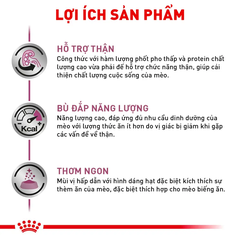 Thức Ăn Hạt Cho Mèo Suy Thận Royal Canin Renal