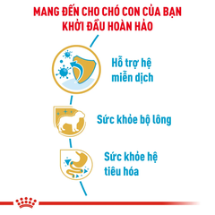 Thức Ăn Hạt Cho Chó Con Chihuahua Royal Canin Chihuahua Puppy