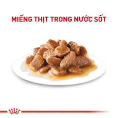 Pate Cho Chó Mini Adult